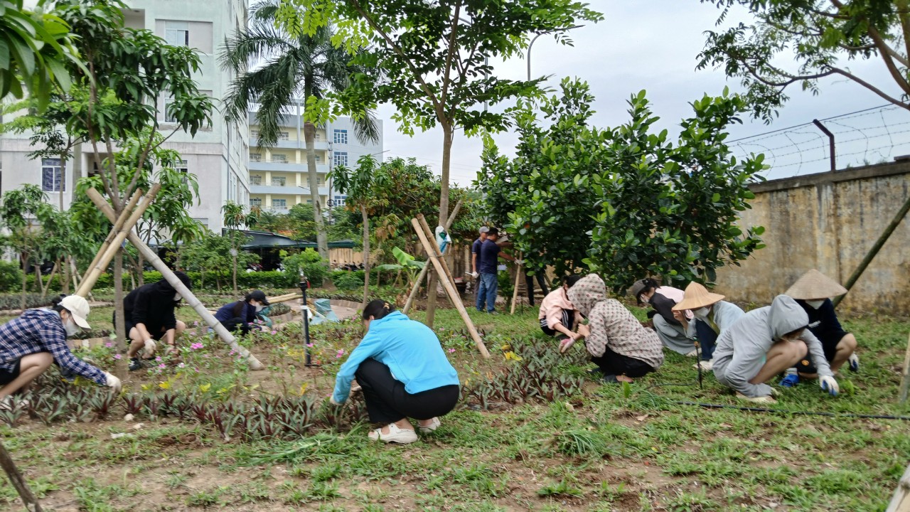 Phong trào lao động cộng sản Xanh - Sạch - Đẹp tại Ban quản lý nhà ở sinh viên Tp. Thái Bình